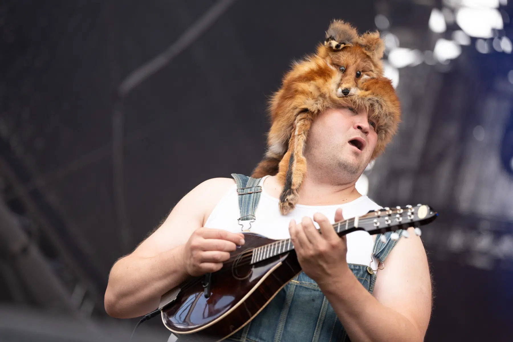 Steve-n-Seagulls-1 Steve-n-Seagulls-1