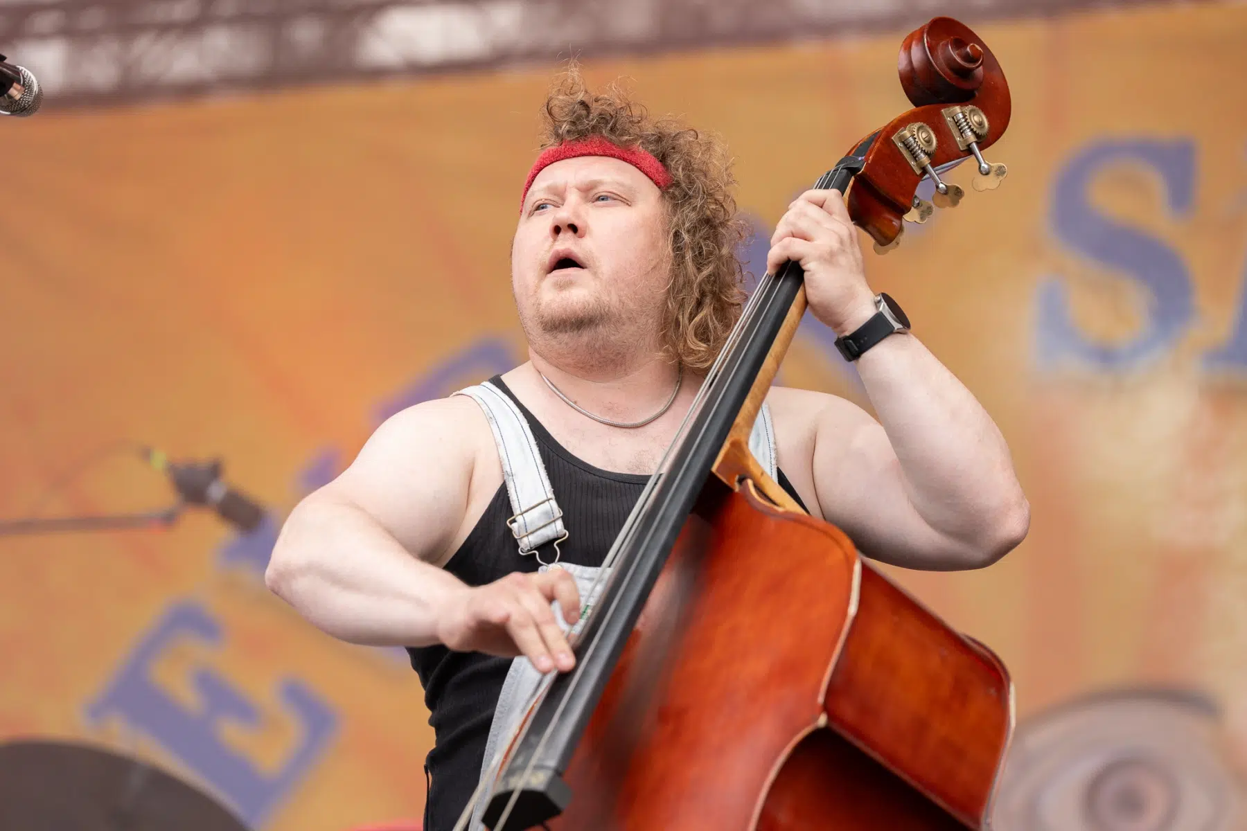 Steve-n-Seagulls-3 Steve-n-Seagulls-3