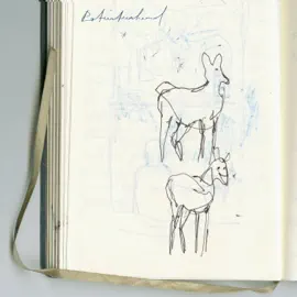 David Howald – Patientenhemd