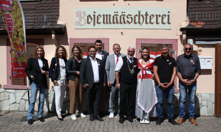 Blick auf das bunte Treiben und das traditionelle Rahmenprogramm beim Wormser Backfischfest am Rhein mit Festzelten und Fahrgeschäften.